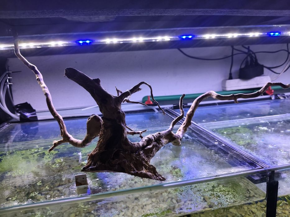 Troncos decorativos aquário