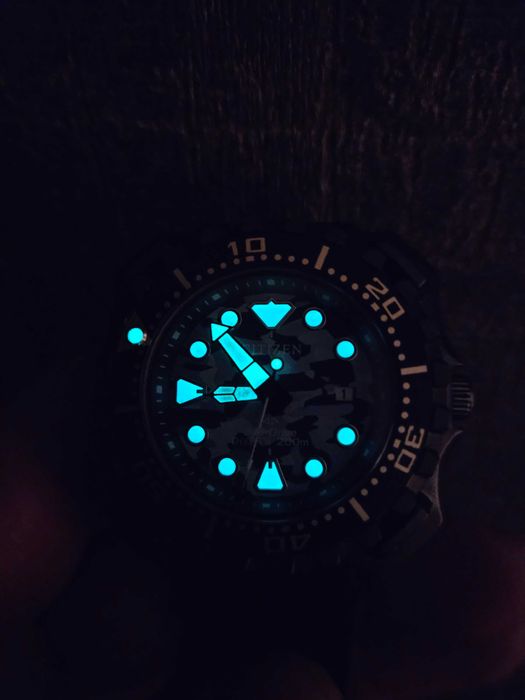 citizen promaster mod