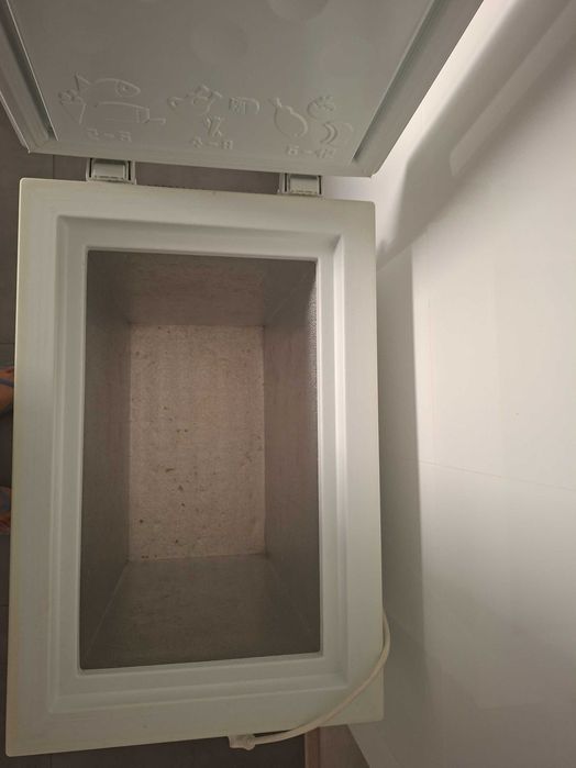 Arca congeladora Junex 102L