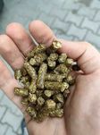 Susz z lucerny, lucerna granulowana.- big-bag, worki 40kg
