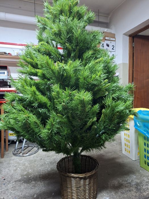 Arvore de Natal com 170 cm