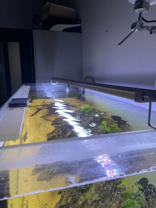 Akwarium 300l z szafką filtrem aquael ultramax 2000