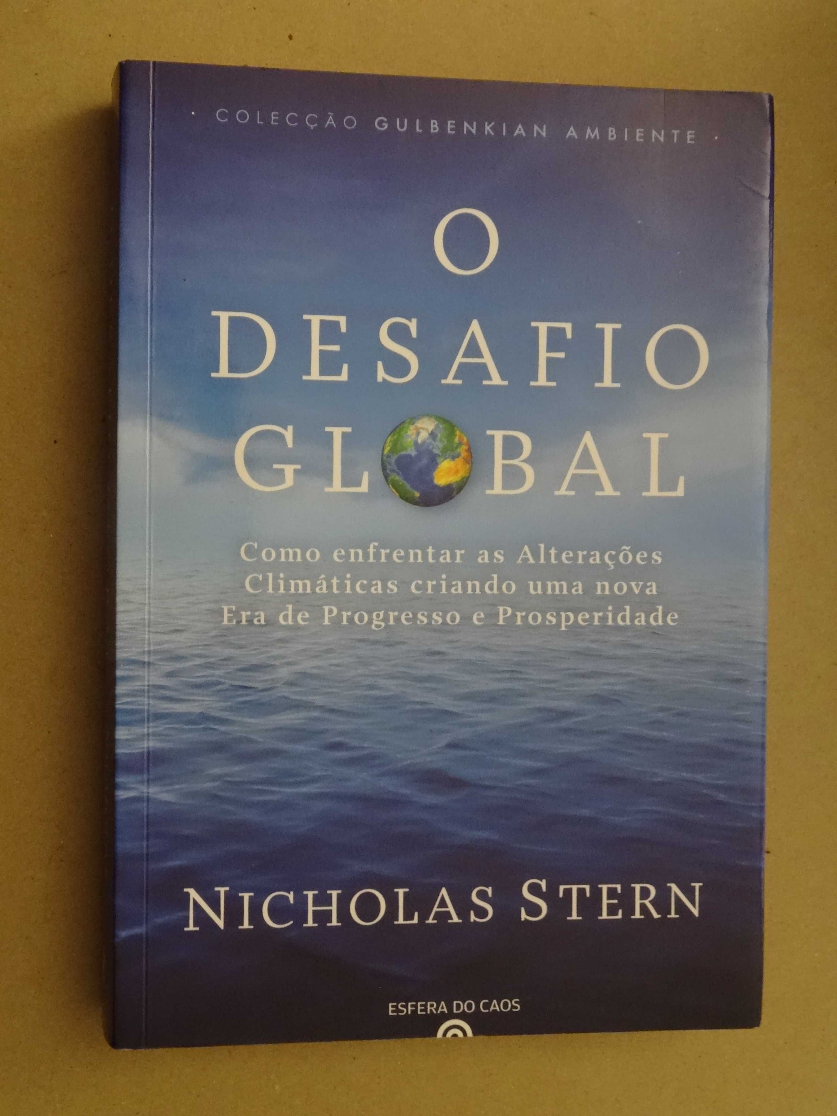 O Desafio Global de Nicholas Stern - 1ª Edição