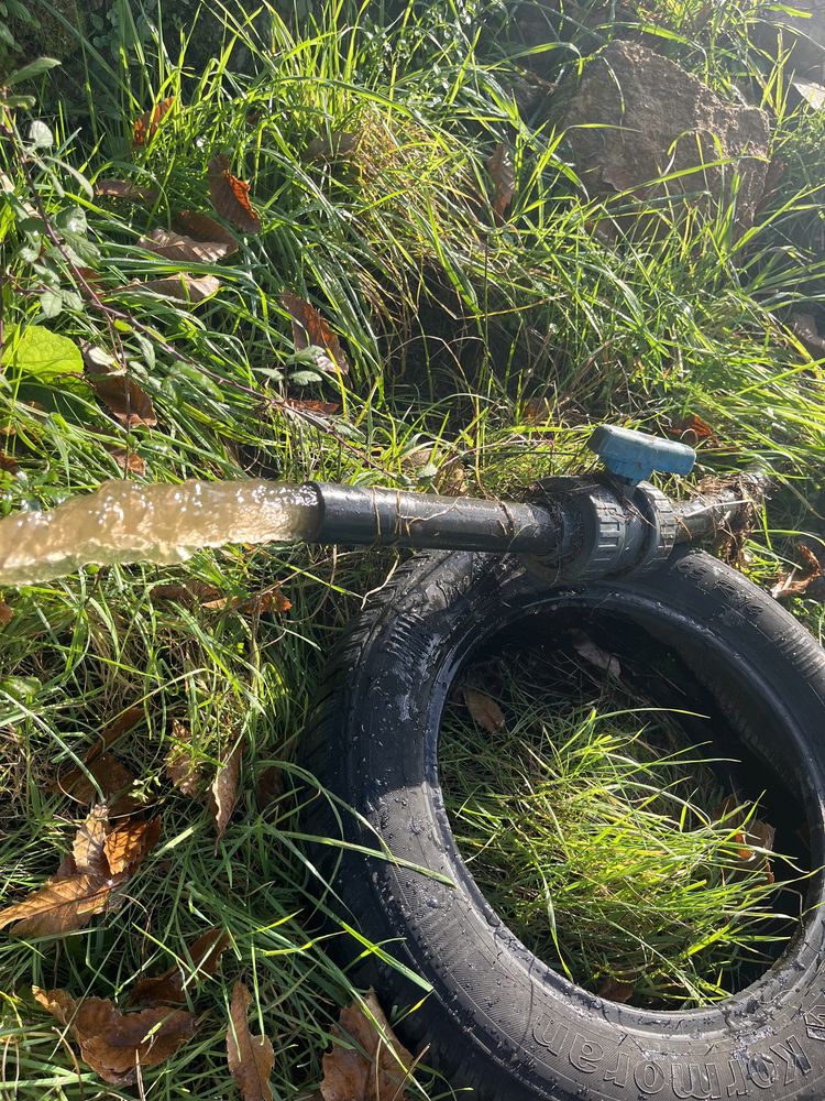 Terreno com Souto e cultivo junto á IP2 Trancoso, com acesso a agua