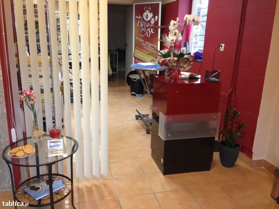 Groomer, DOG&CAT Salon dla psów, psi fryzjer, 17 lat na rynku