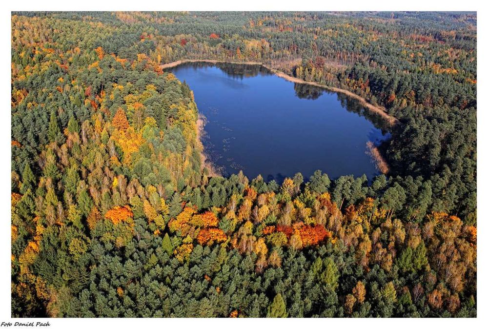 Dziaka Bryńsk Mazury