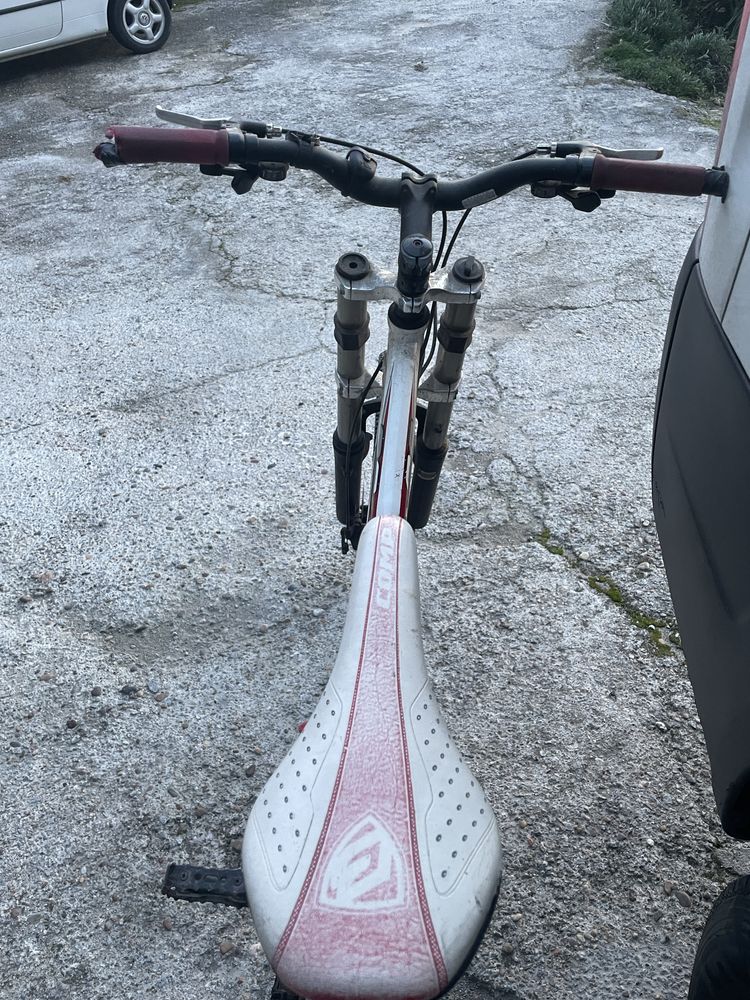 Bicicleta ds 2010