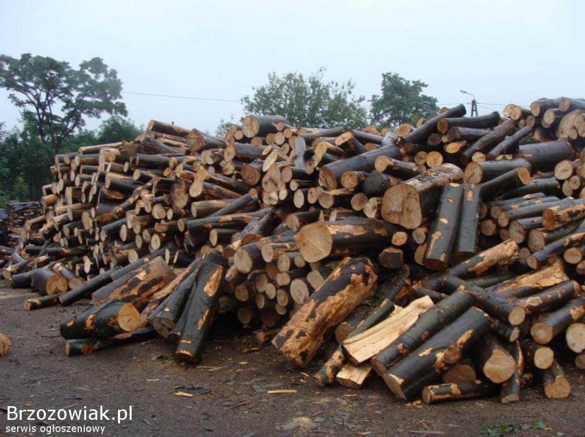 Drewno kominkowe zdrowe kawalki Szybka dostawa !