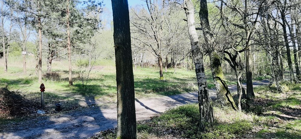 Działka 2000 m2 Głosków