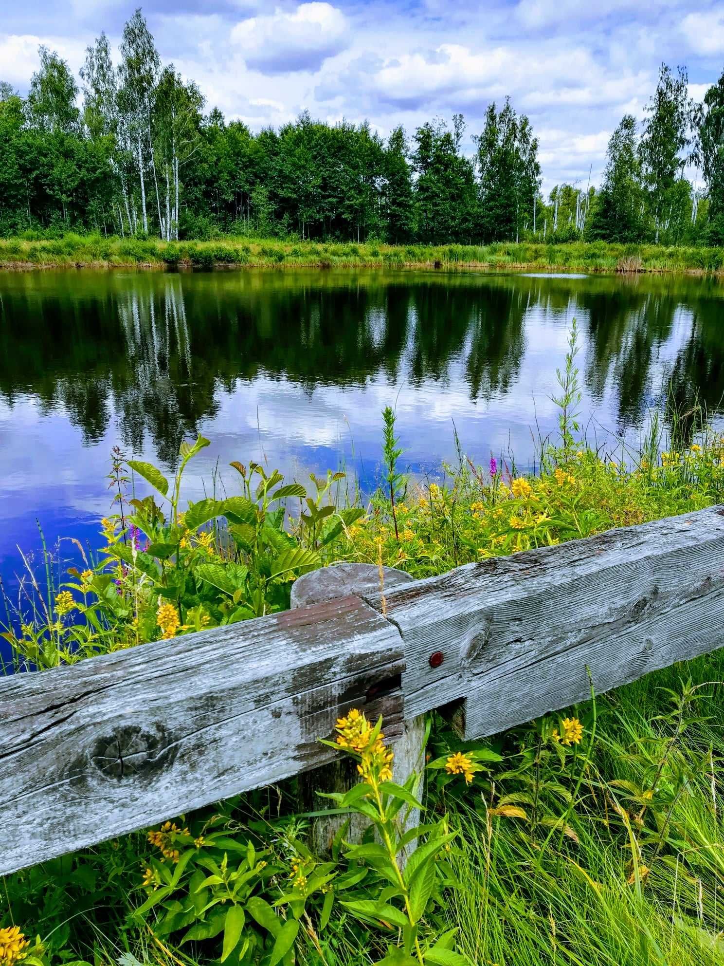 Domek do wynajęcia, domek letniskowy, domek na wsi, Podlasie, Zabłocie