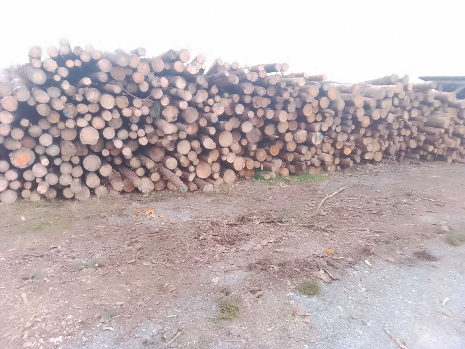 Drewno kominkowe opałowe tanio !