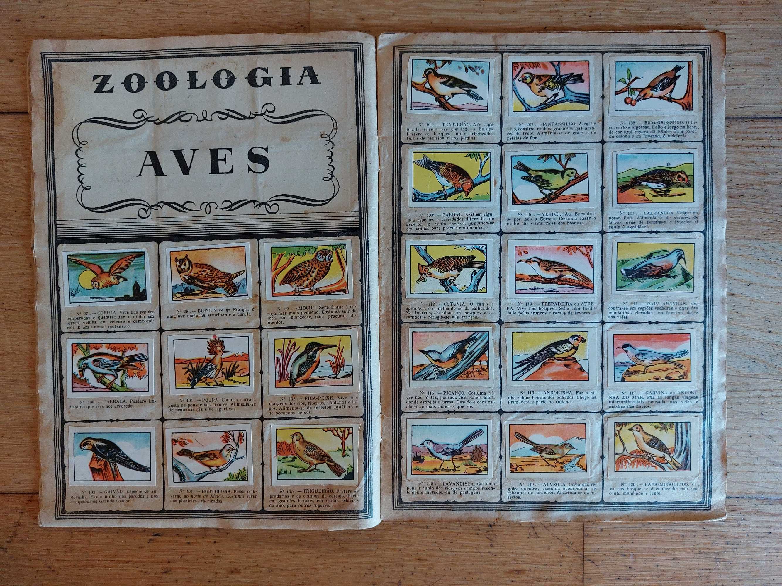 Caderneta/álbum de zoologia de 1954 - Completa