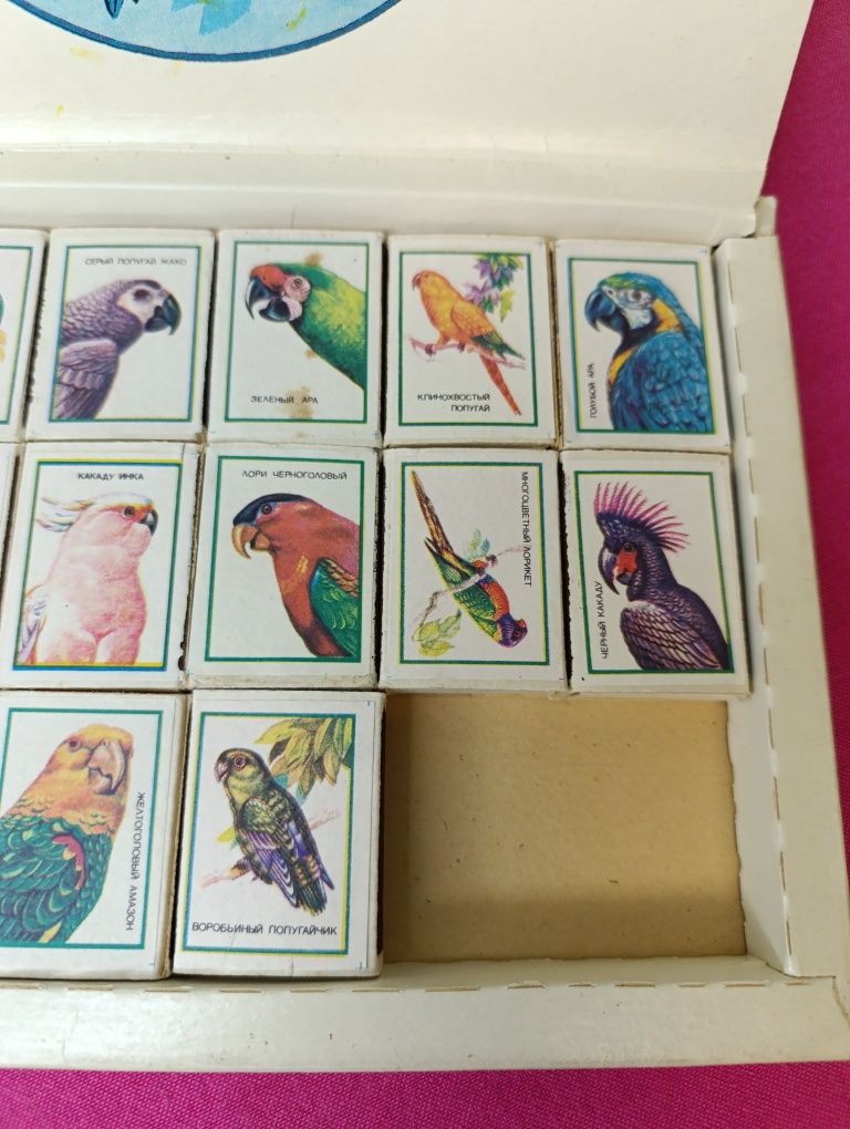 Советская коробка спичек тематические попугаи народные приметы СССР