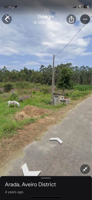 Terreno Arada 6000m2