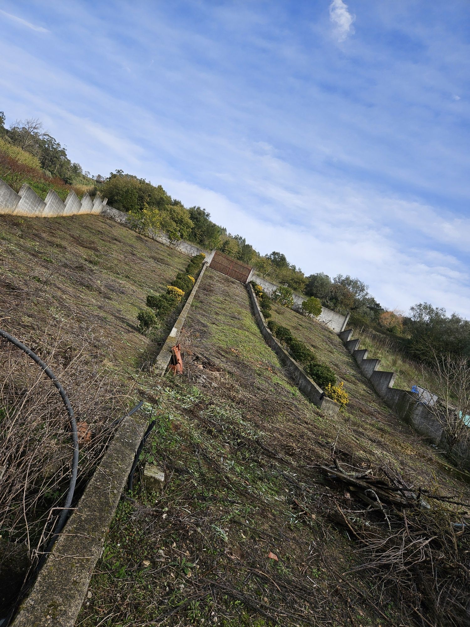 Terreno para Venda