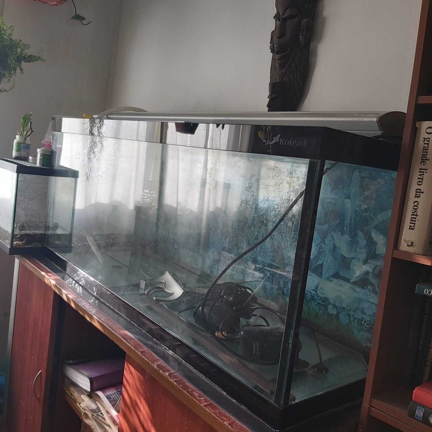 Aquario + acessórios