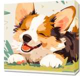 Obraz 50x50cm Beztroski Corgi