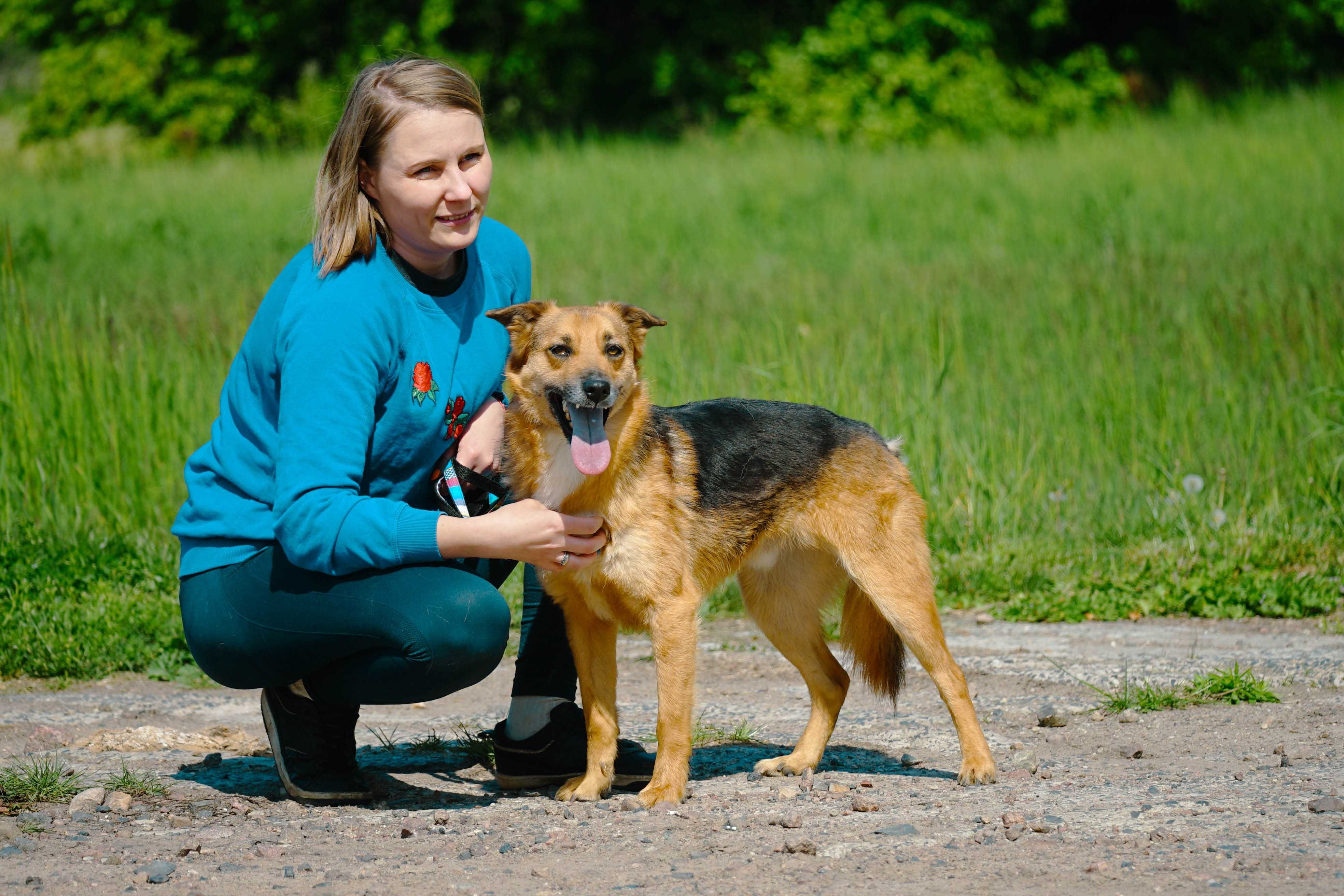 MIŁEK - świetny pies do adopcji