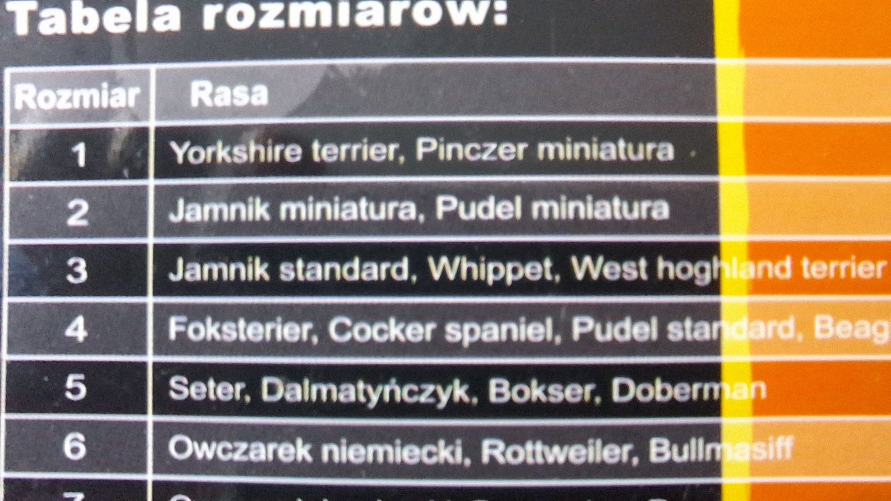 Majtki dla psa  rozm 2