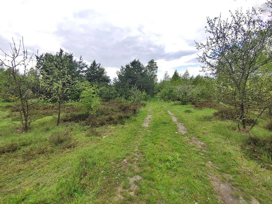 Продаж земельної ділянки, 122сот, Бірки