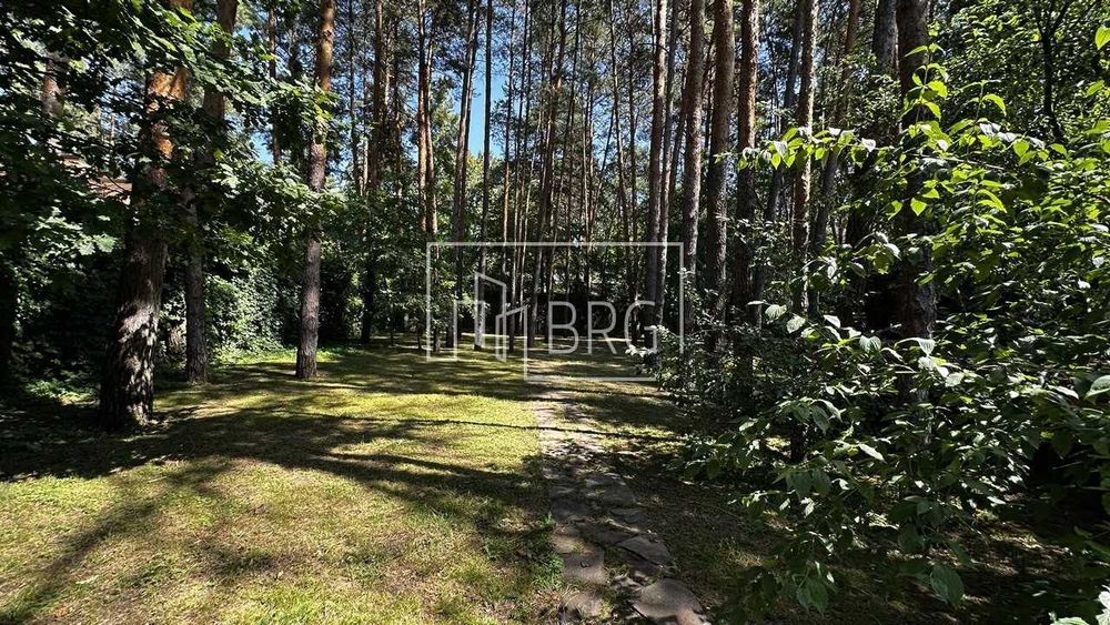 Аренда дома с бассейном в сосновом лесу Пятихатки Конча-Заспа без%