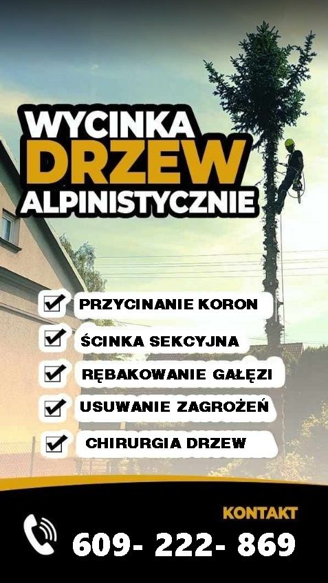 Wycinka drzew alpinistyczna za drewno pielegnacja