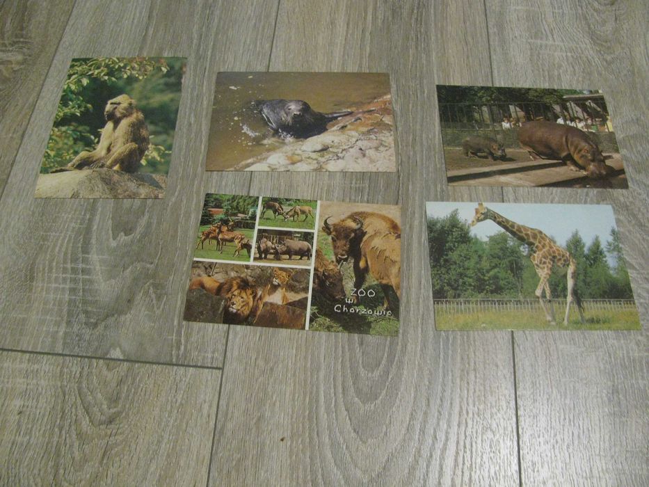 pocztówki z PRL zwierzęta