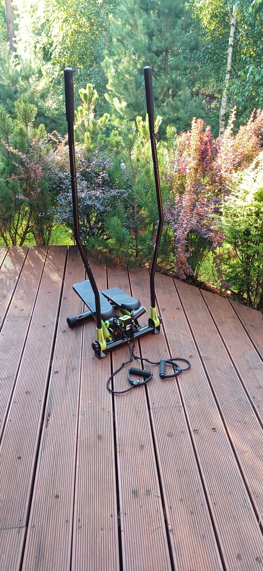 Stepper z linkami + nordic walking