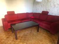 Czerwony wypoczynek  do salonu