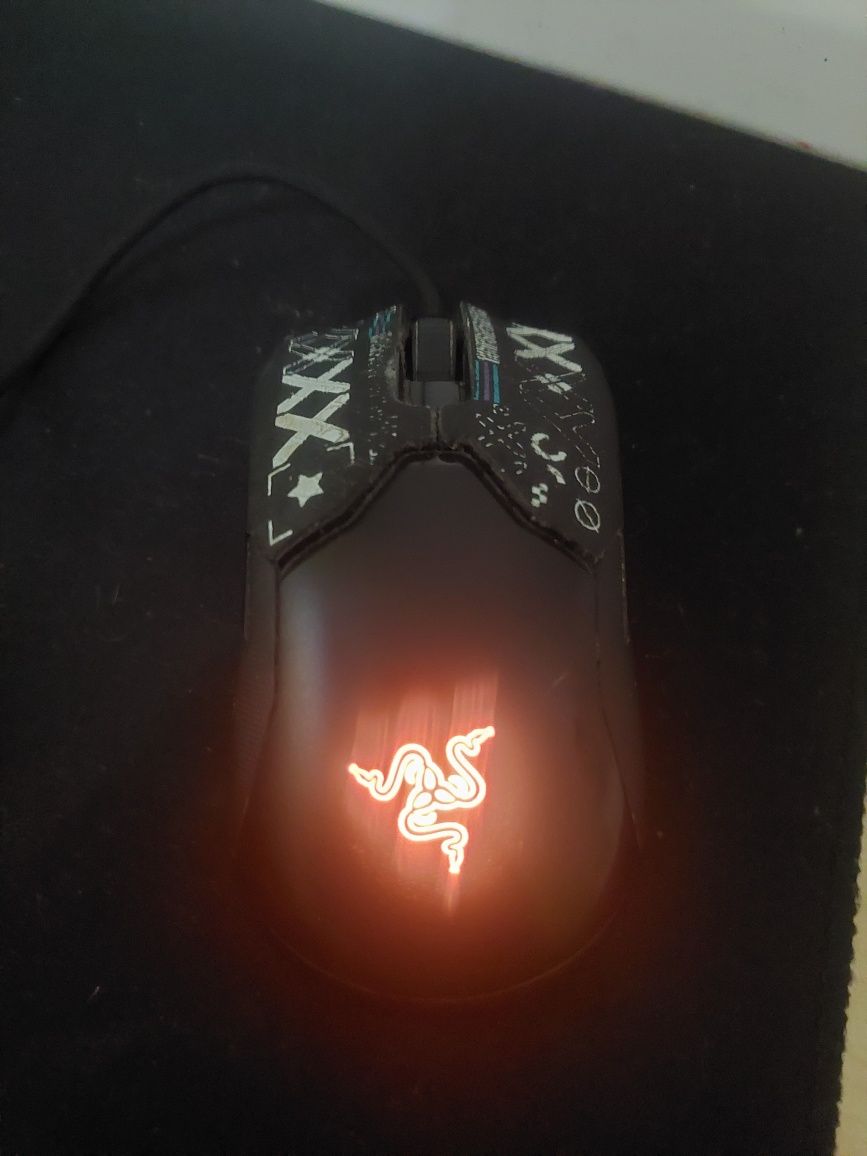 Razer viper 8khz + mouse bungee