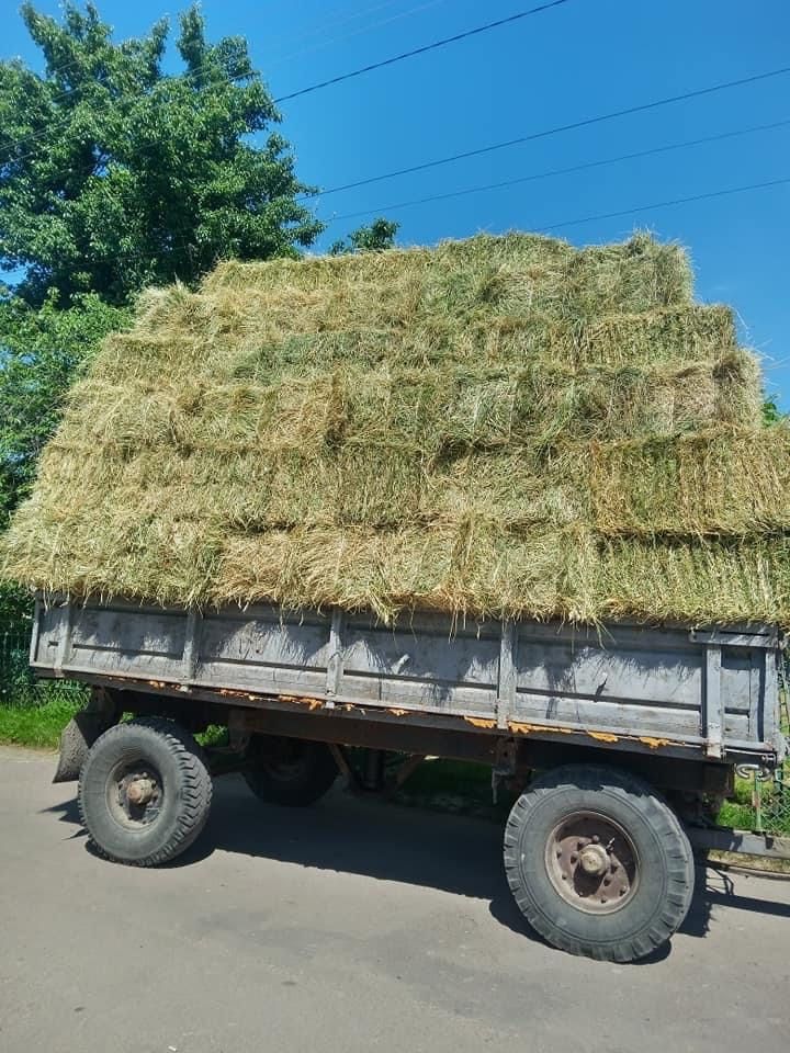 Тюки: Солома, Сіно, Люцерна Доставка