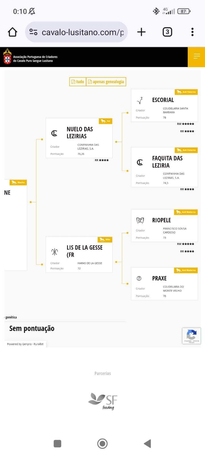 Poldro para fazer criação  lusitano .linhagem muito boa
