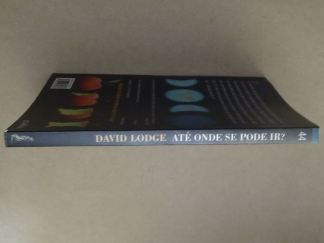 Até Onde Se Pode Ir de David Lodge - 1ª Edição