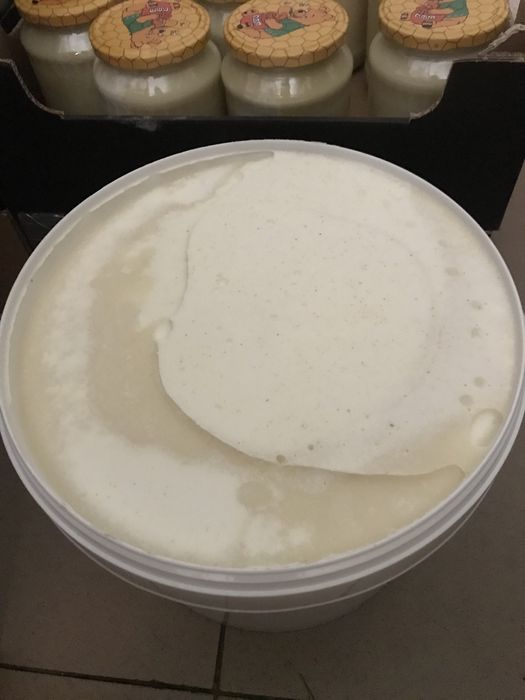 Miód rzepakowy 16kg - 20zł/kg