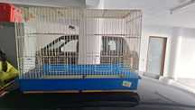 Gaiola viveiro duplo