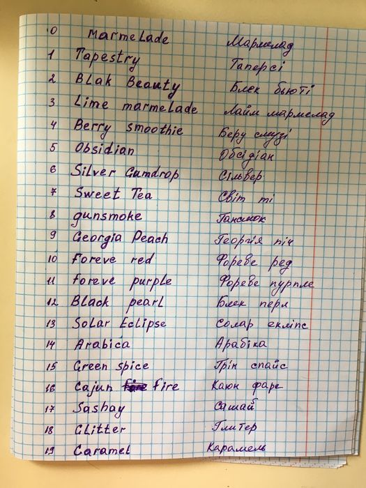 Гейхера сортова багаторічна