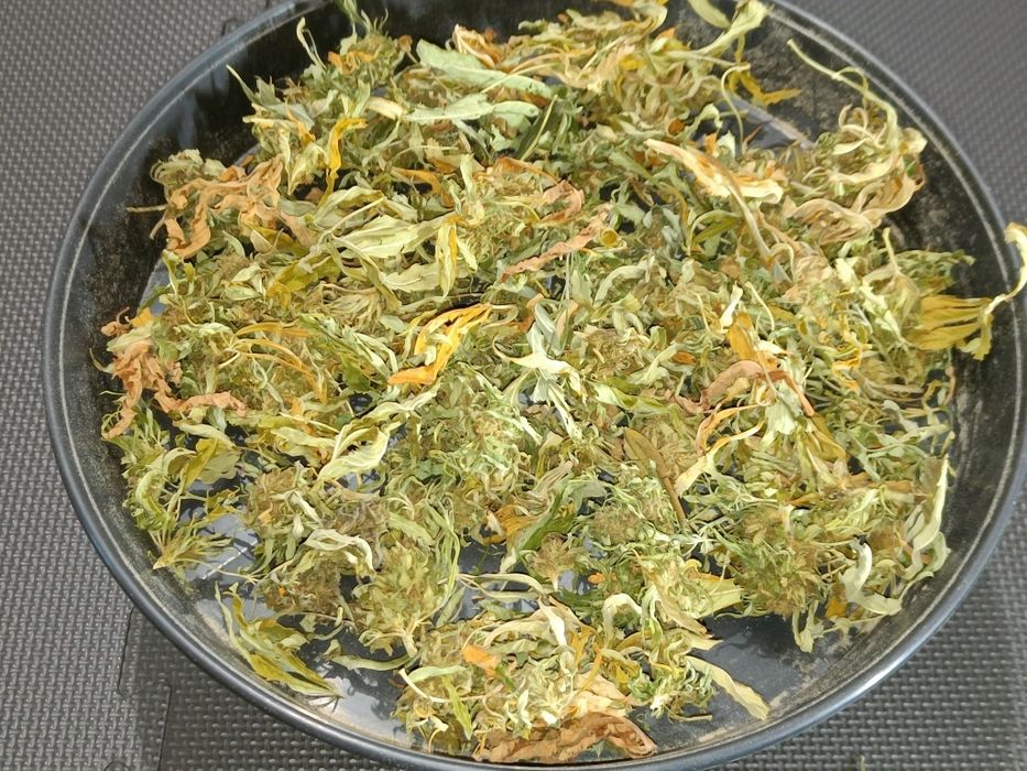 50g suszu kwiaty z liśćmi konopi CBD Przysmak Prezesa