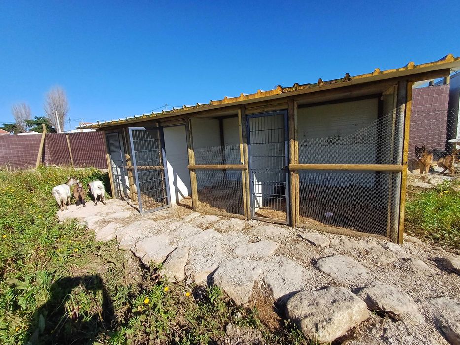 Terreno rústico 3000 m2 - 2 min praia magoito até  9 de NOVEMBRO