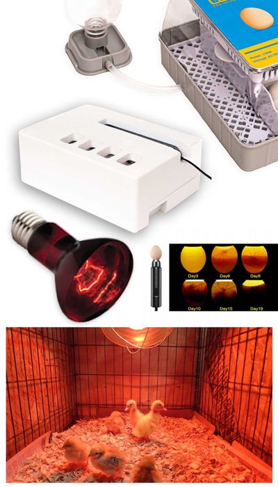 INKUBATOR AUTOMATYCZNY LUMI na 20 jaj klujnik wylęgarka +akcesoria