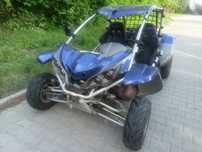 Quad buggy NBluck 300 homologacja