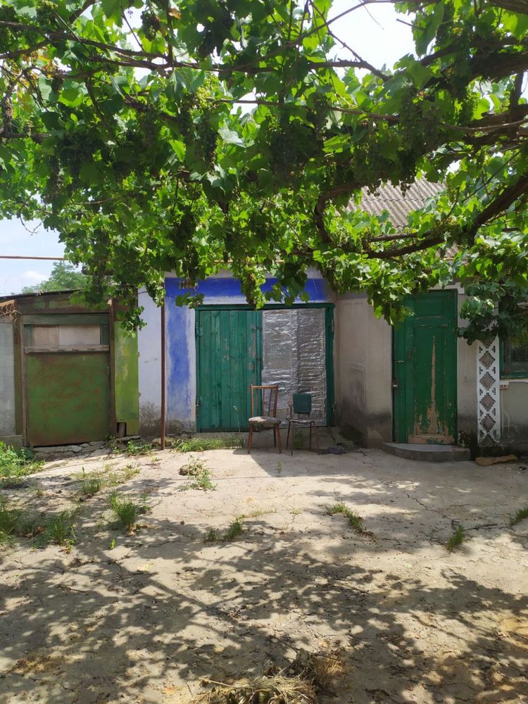 Частный дом в селе Егоровка