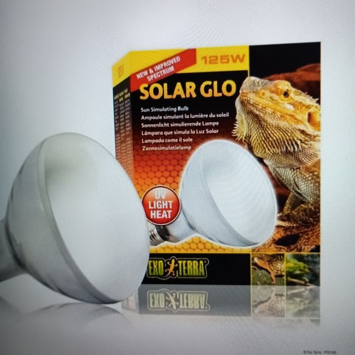 Żarówka Exo - Terra Glo 125W E27