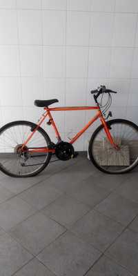 Bicicleta laranja