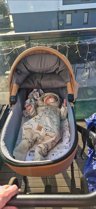 Wozek anex e type carmel