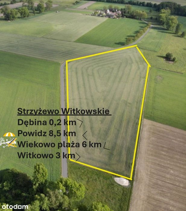 Twój dom wśród zieleni – działki budowlane w Strzyżewie Witkowskim!