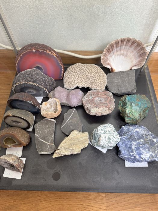 Kryształy minerały skamieniałosci kolekcja