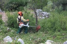 Serviços de jardinagem