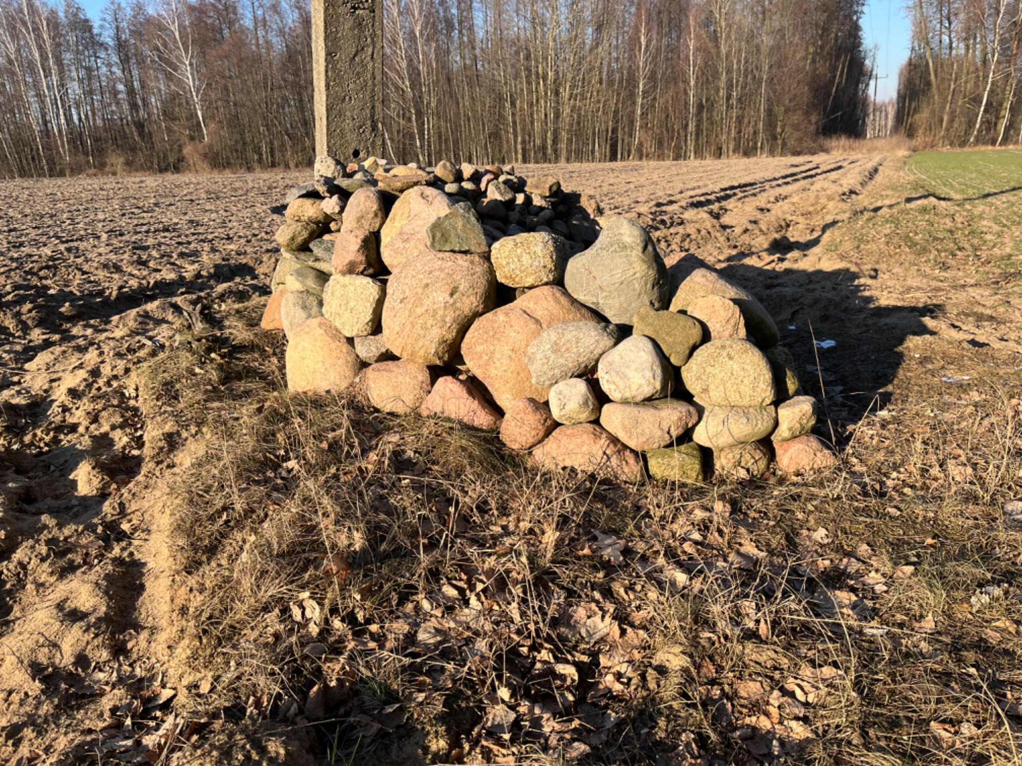 Kamień polny ( oddam )