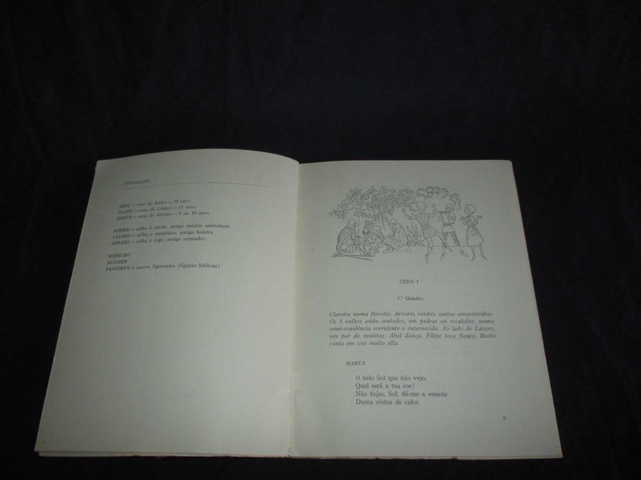 Livro O Auto dos Quatro Meninos Patrícia Joyce