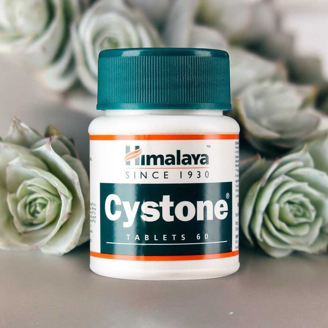 Himalaya Cystone профілактика нирок та сечовивідних шляхів 60 шт БАД